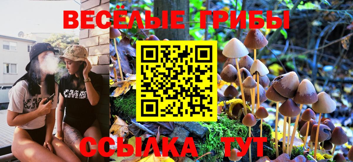 Чехов  Галлюциногенные грибы GOLDEN TEACHER  Вход с VPN 